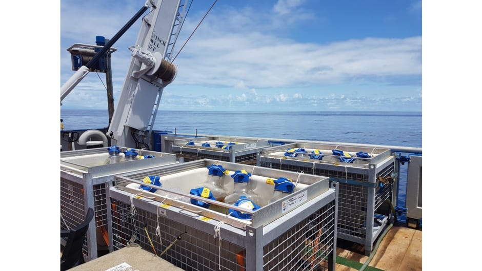 De tanks waarin het Sargassum moest groeien